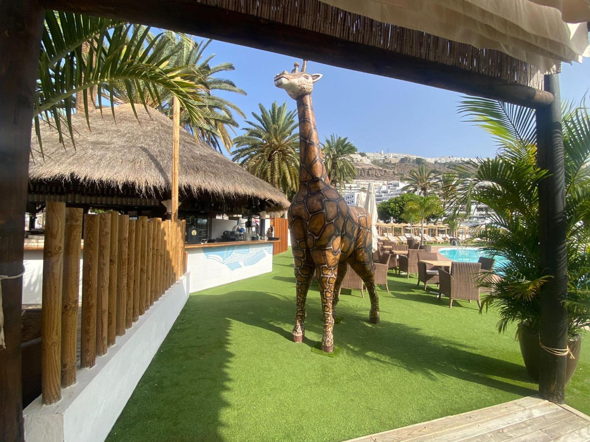 Modern Ground Floor Apartment , A Few Steps From The Beach Mogán Exterior foto